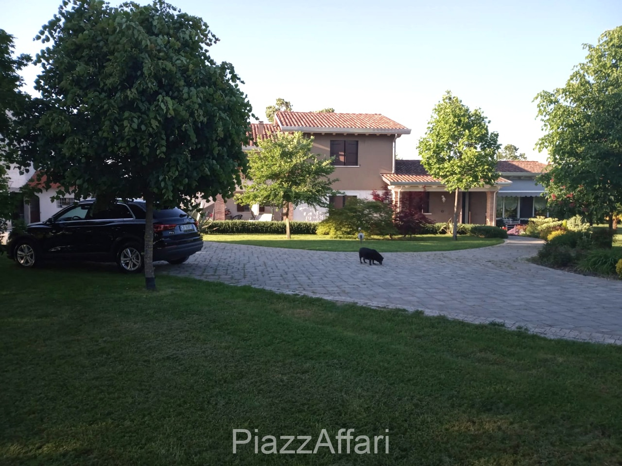 Agenzia Piazzaffari